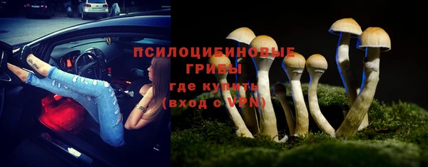 не бодяженный Медвежьегорск