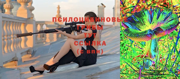 не бодяженный Медвежьегорск