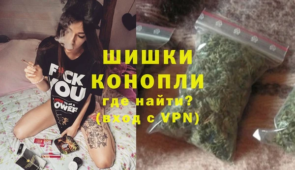 ПСИЛОЦИБИНОВЫЕ ГРИБЫ Михайлов