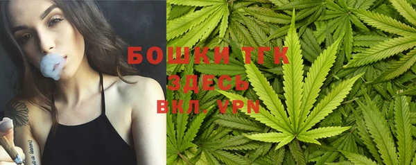 ПСИЛОЦИБИНОВЫЕ ГРИБЫ Михайлов