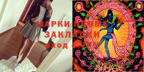 хмурый Михайловск