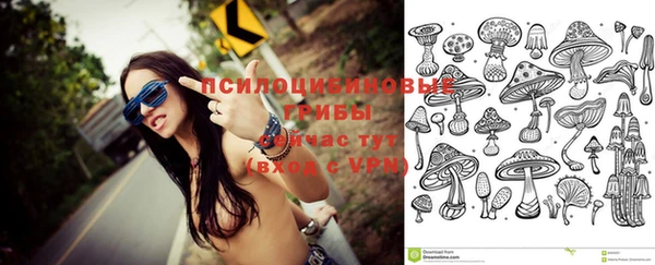 хмурый Медногорск
