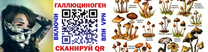 хочу Нижние Серги Галлюциногенные грибы Magic Shrooms