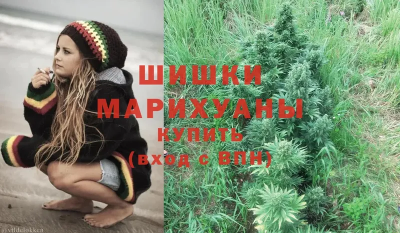 Конопля OG Kush  где найти наркотики  Нижние Серги 